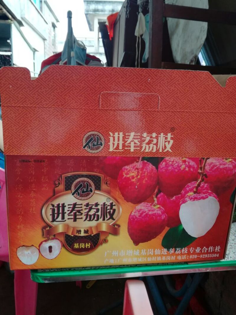 广东仙进奉荔枝苗高压苗阳台种植带泥发货包邮，大量供应