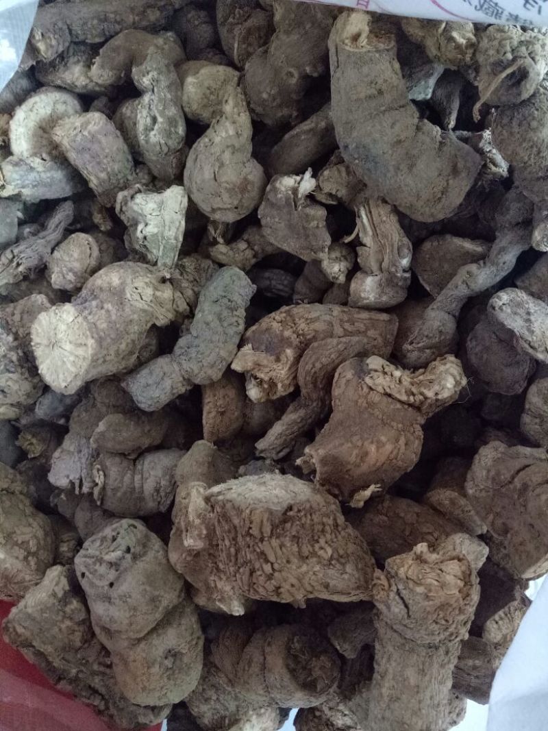 防己