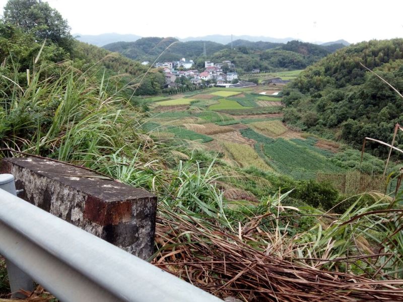 粉干