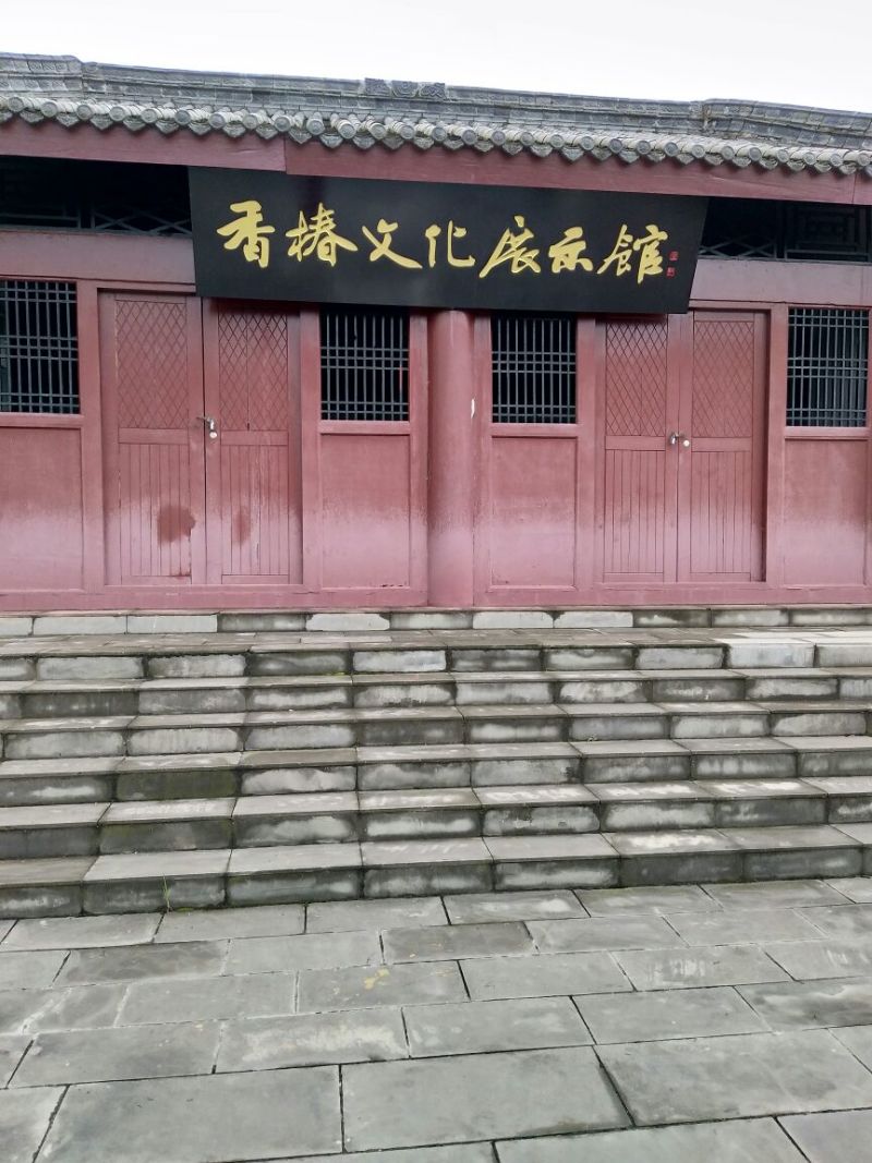 红油香椿苗60~70cm大棚苗南北种植技术指导物美价廉