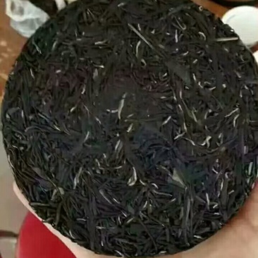 普洱茶一级