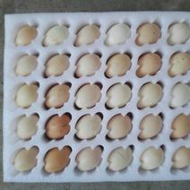 土鸡蛋食用50~60g