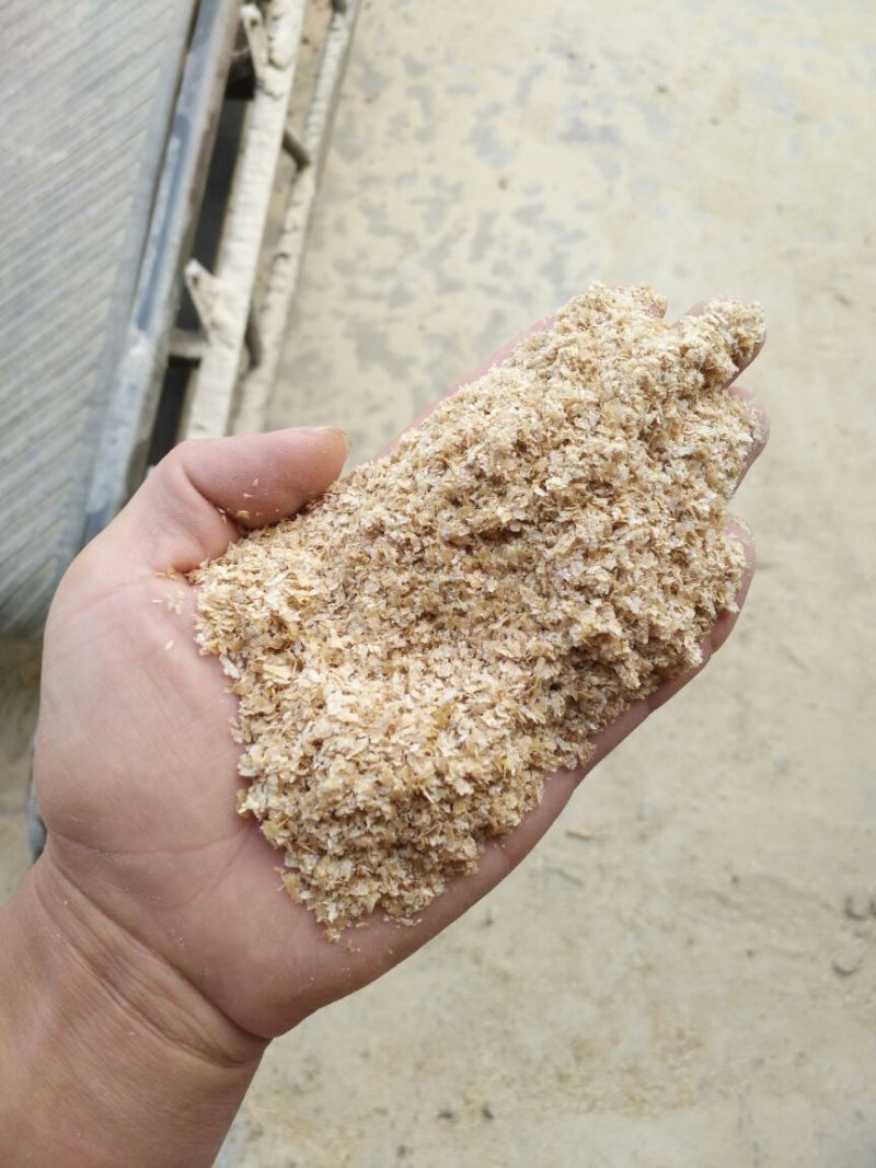 麸皮饲料