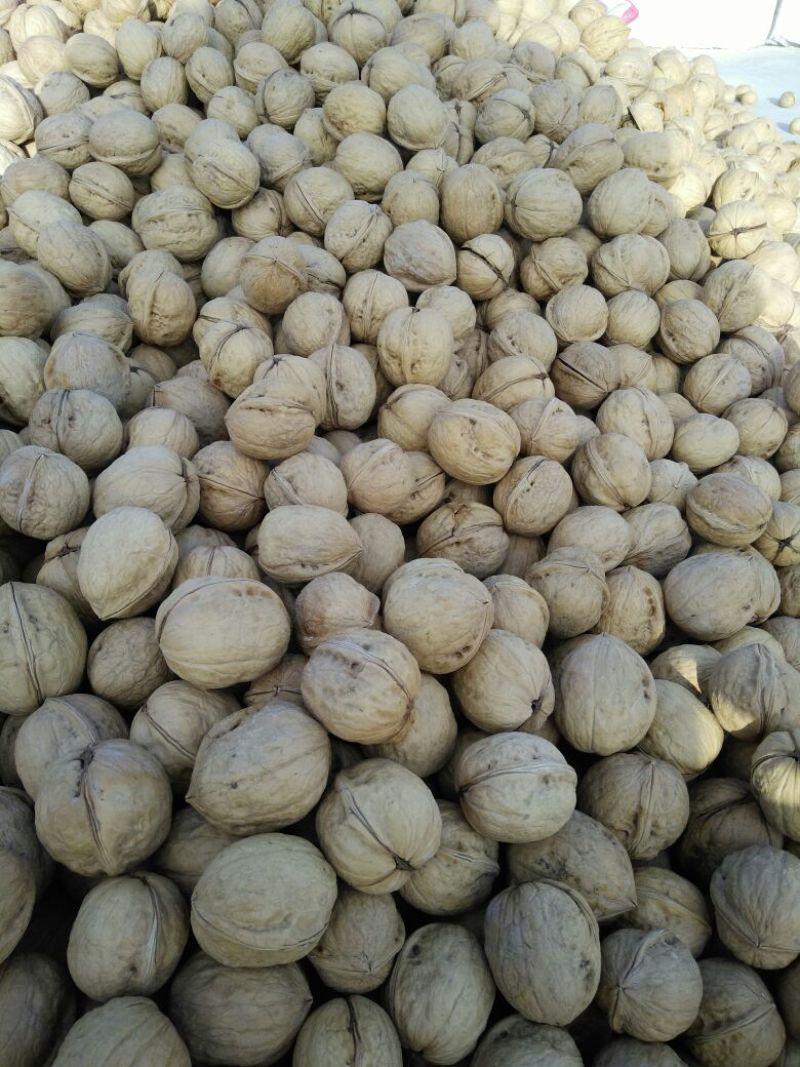 新疆185核桃去皮干