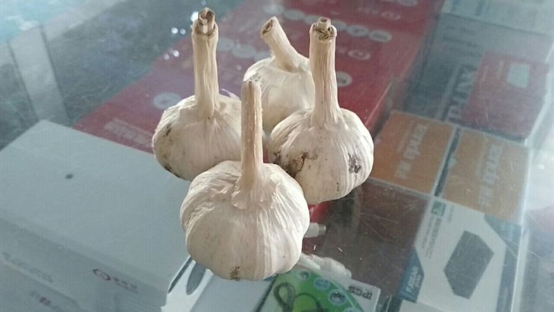 脱水蒜片