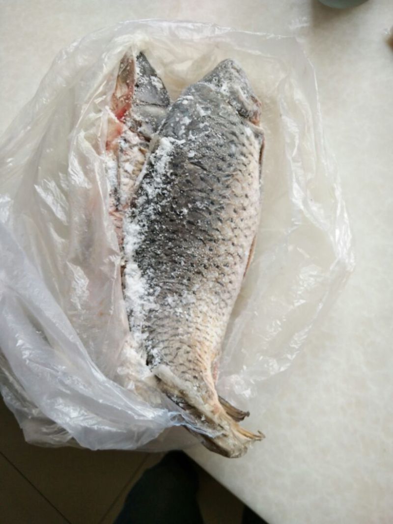 黄河鲤食用1~2公斤