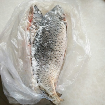 黄河鲤食用1~2公斤