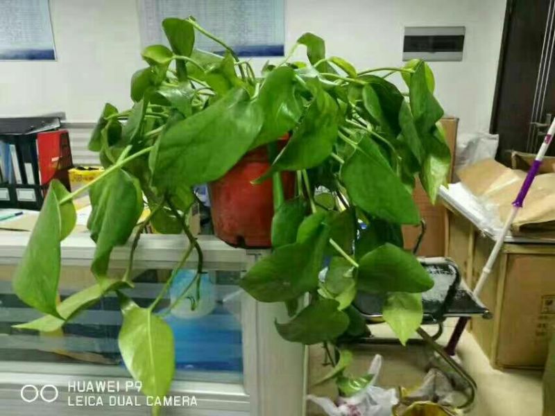 复混肥料