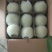 砀山梨光果200~250g