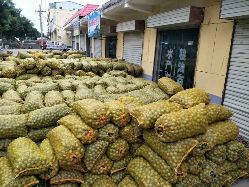 黄龙县香玲去皮湿核桃