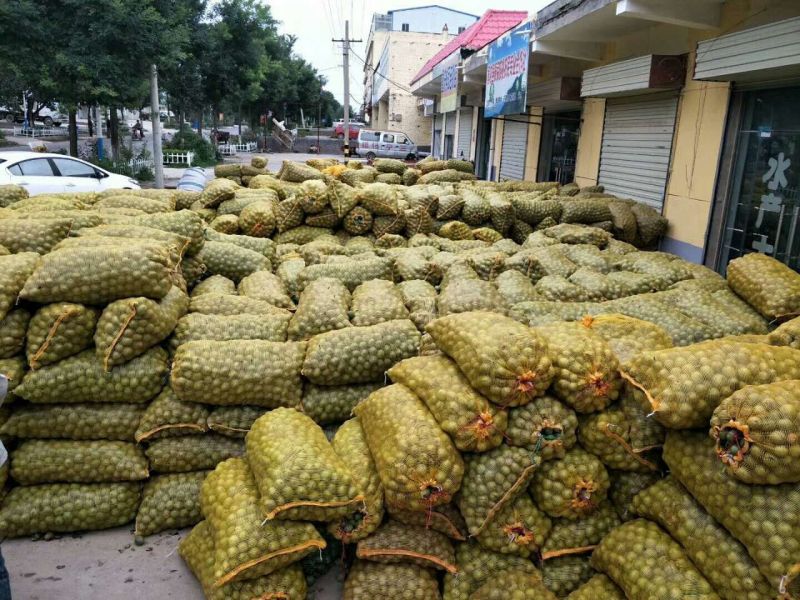 黄龙县香玲去皮湿核桃