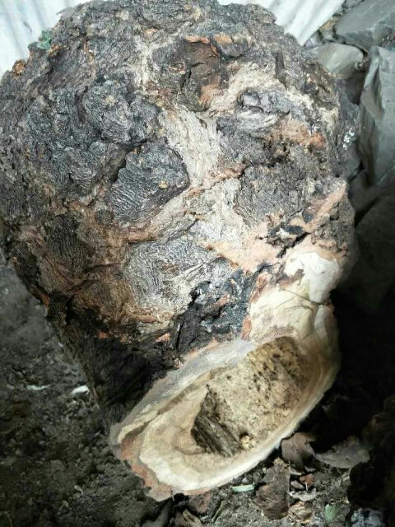 毛石