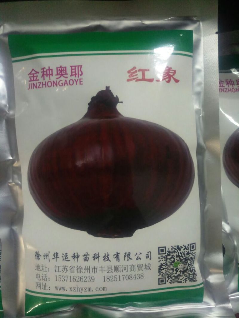 精品洋葱种紫阳紫玉88爱知紫丰红象种子