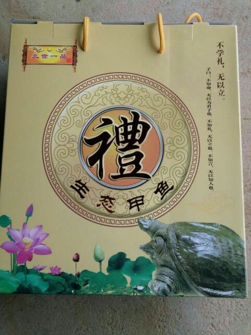 野生甲鱼2~2.5斤