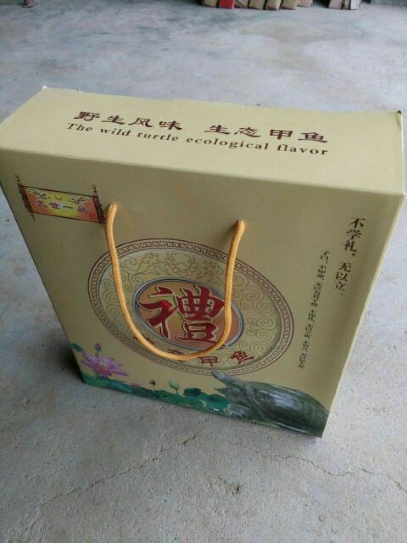 野生甲鱼2~2.5斤