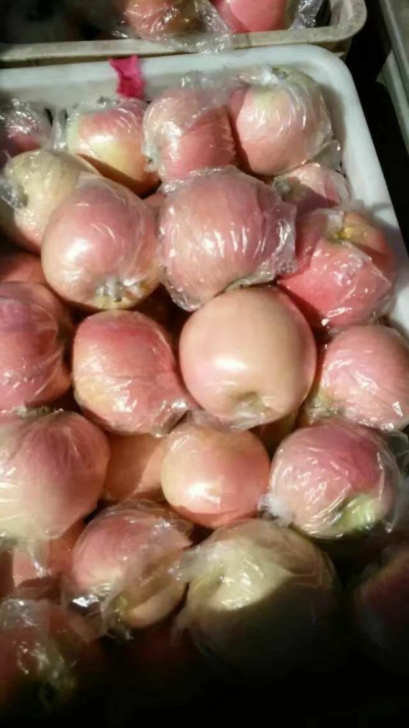 红将军苹果产地大量批发口感脆甜保质保量