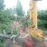 山楂树14~16cm1.5~2米
