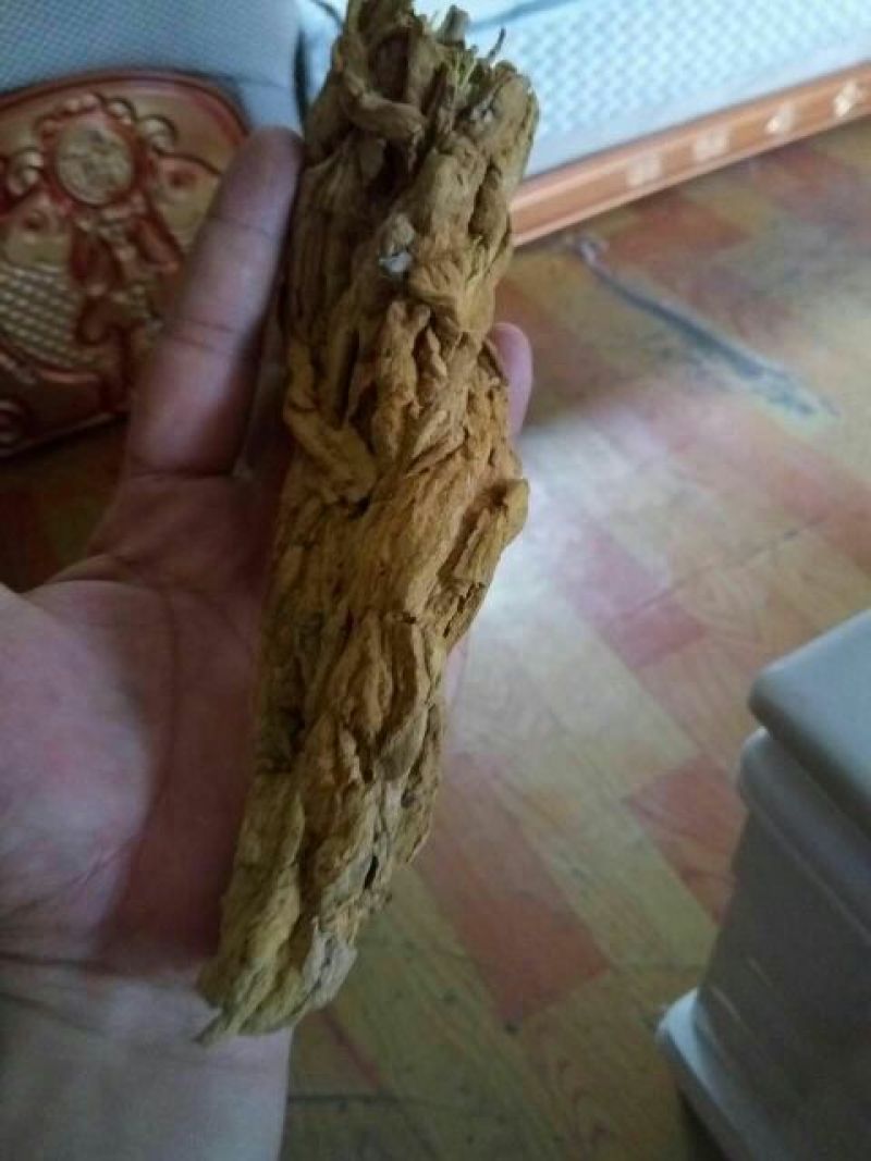 黄莲
