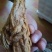 黄莲