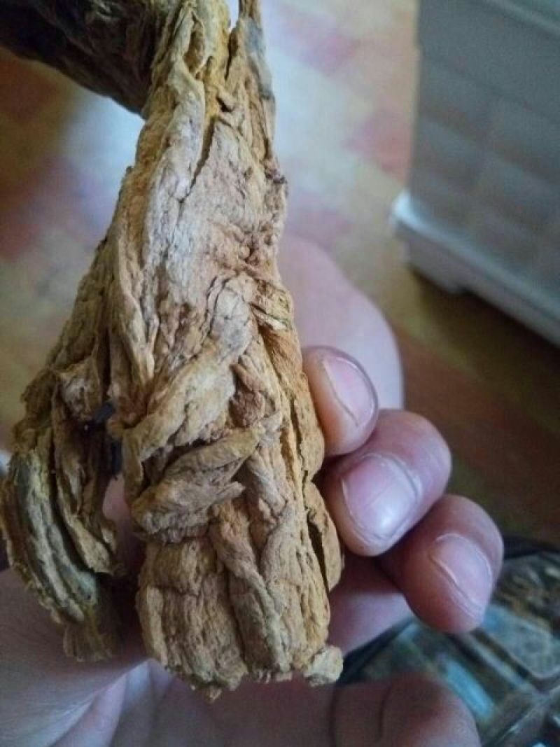 黄莲