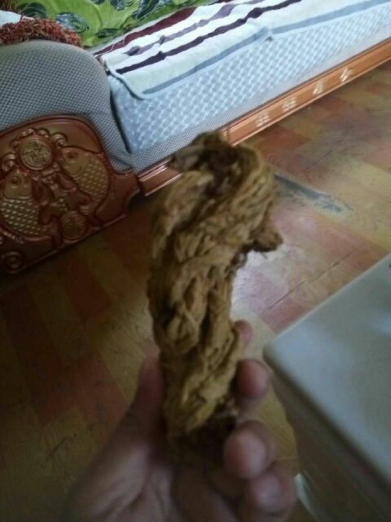 黄莲