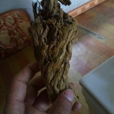 黄莲