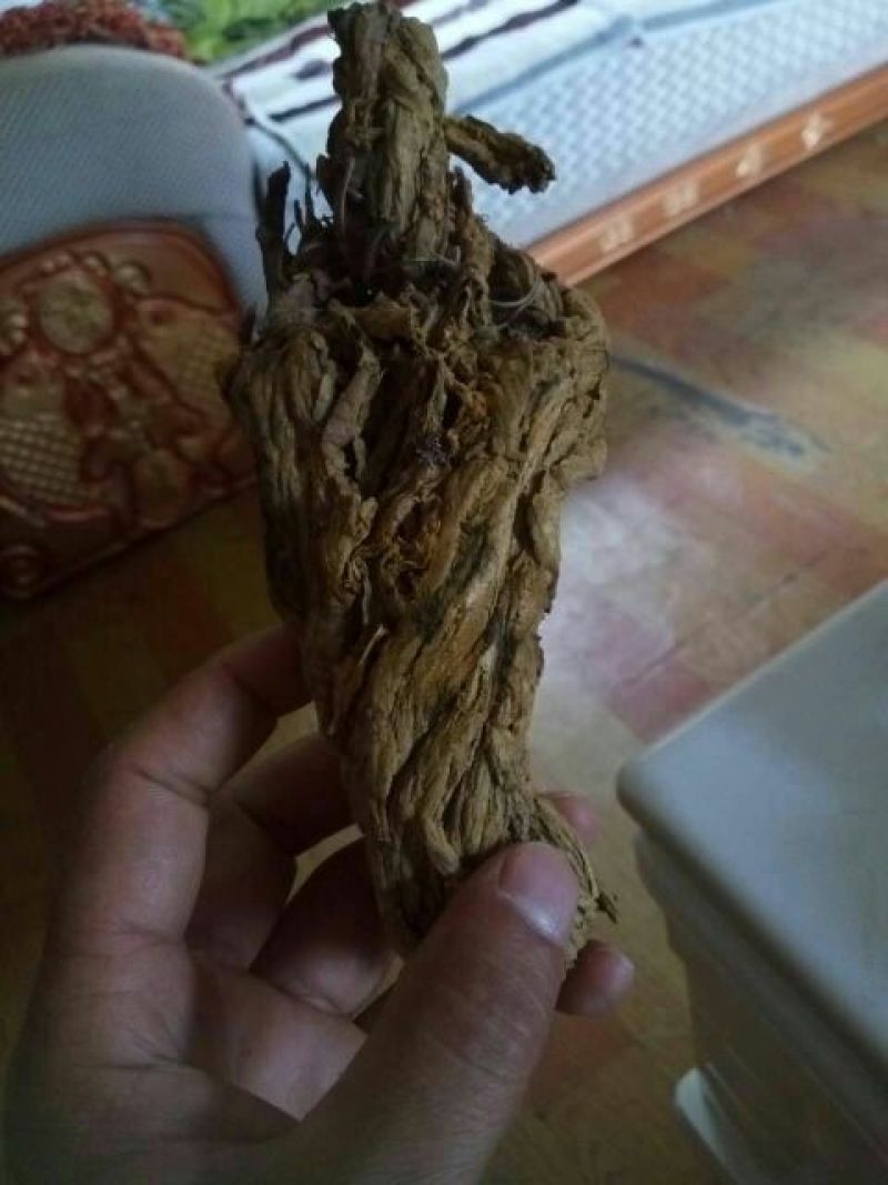 黄莲