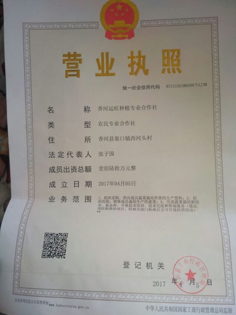 白皮冬瓜三十斤以上吊冬瓜