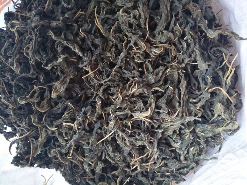 芝麻叶中叶