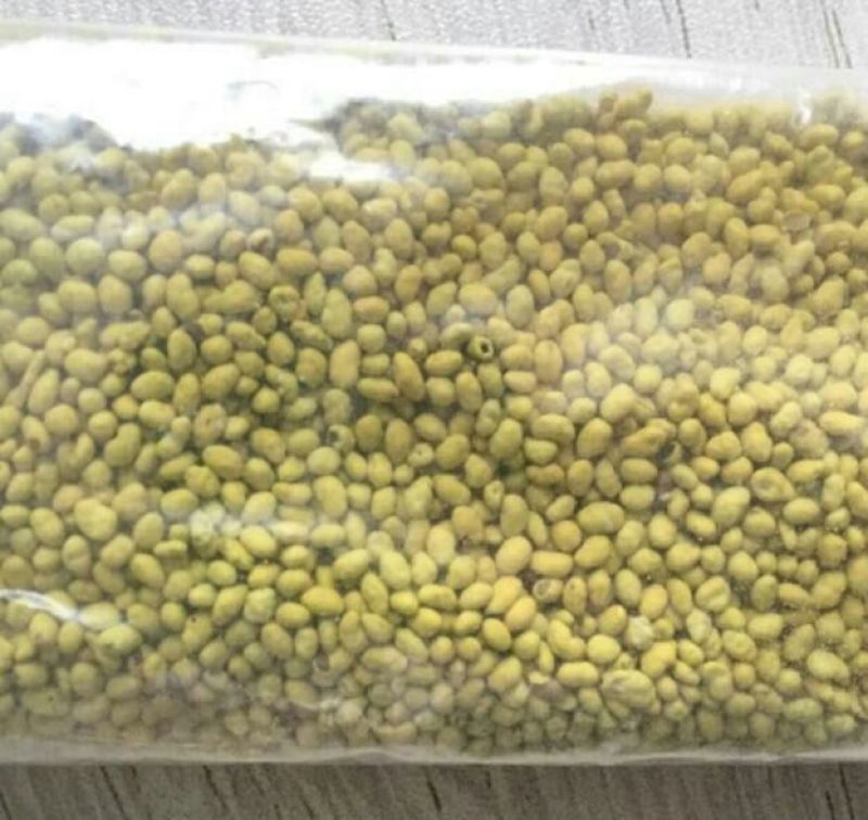 多年生黑麦草种子98%以上