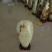 毛石