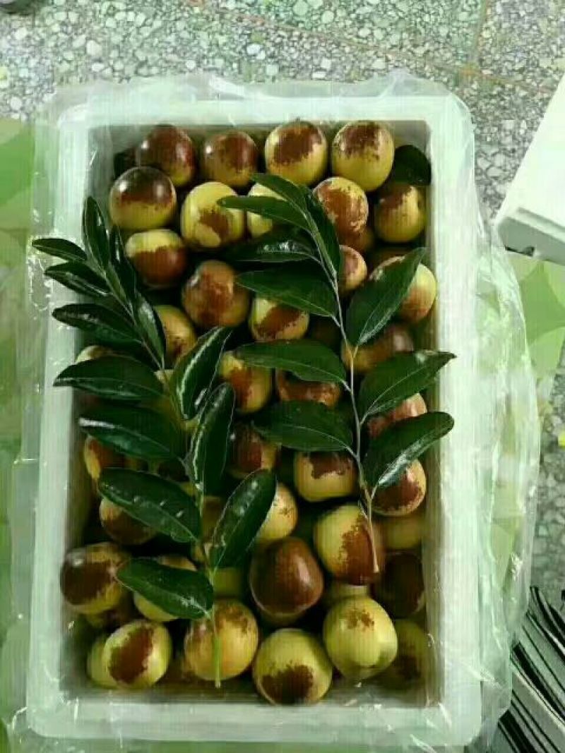 大荔冬枣拐一