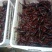 小龙虾稻田套养10-12钱（50-60克）食用活虾
