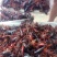 小龙虾稻田套养7-9钱（35-45克）食用活虾