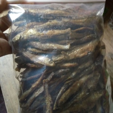 火焙鱼稻谷香味