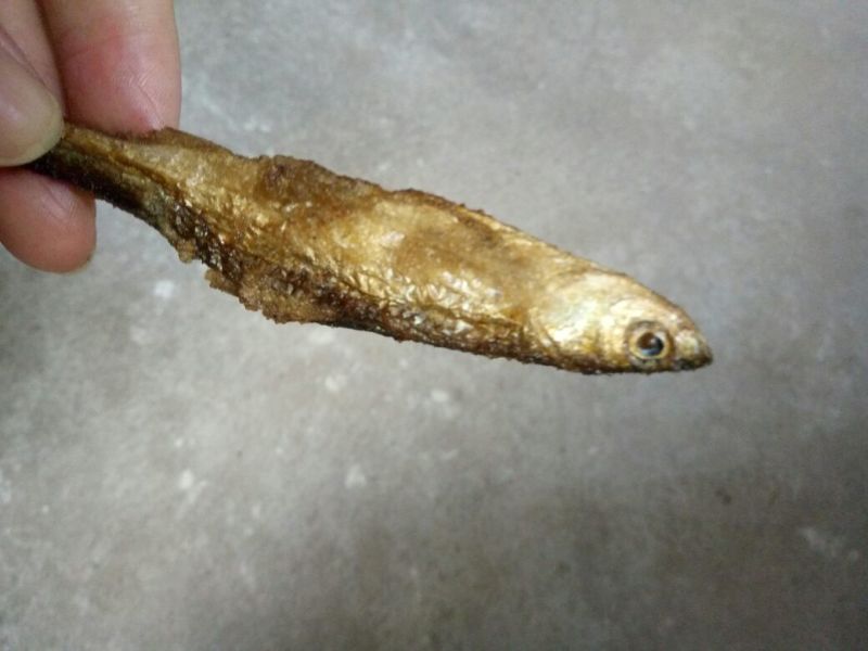火焙鱼稻谷香味