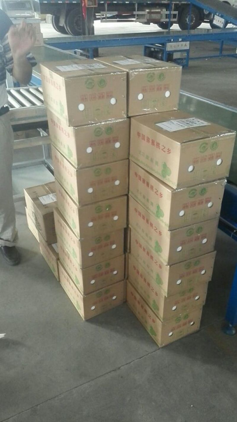 徐香猕猴桃90~100克，个头均匀，汁水饱满，绿色健康