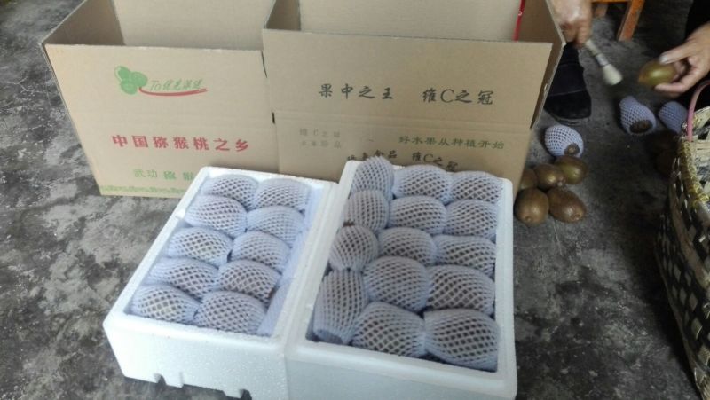 徐香猕猴桃90~100克，个头均匀，汁水饱满，绿色健康