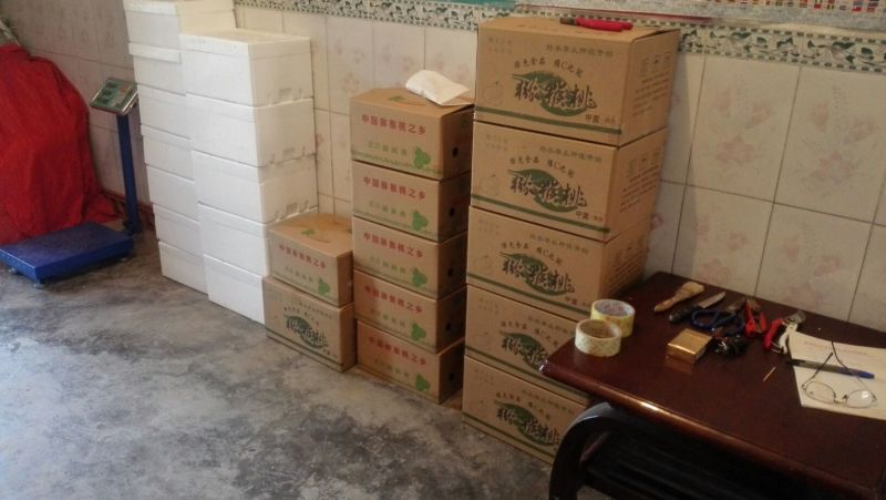 徐香猕猴桃90~100克，个头均匀，汁水饱满，绿色健康