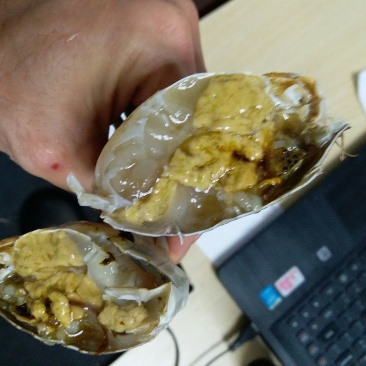 青蟹4-7两/只肉蟹螃蟹福建蟹肉质鲜美