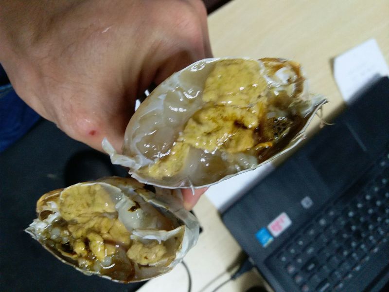 青蟹4-7两/只肉蟹螃蟹福建蟹肉质鲜美