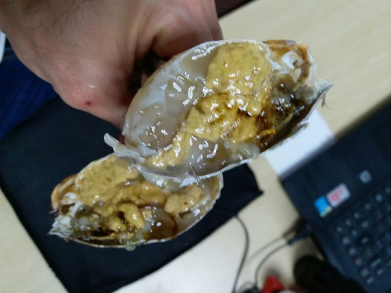 青蟹4-7两/只肉蟹螃蟹福建蟹肉质鲜美
