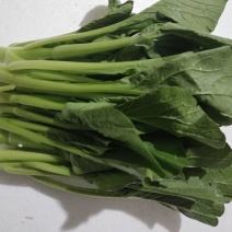 菜苔菜心