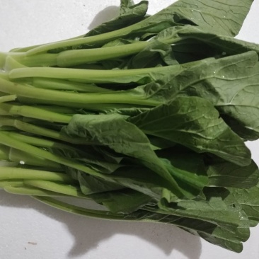 菜苔菜心