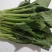 菜苔菜心