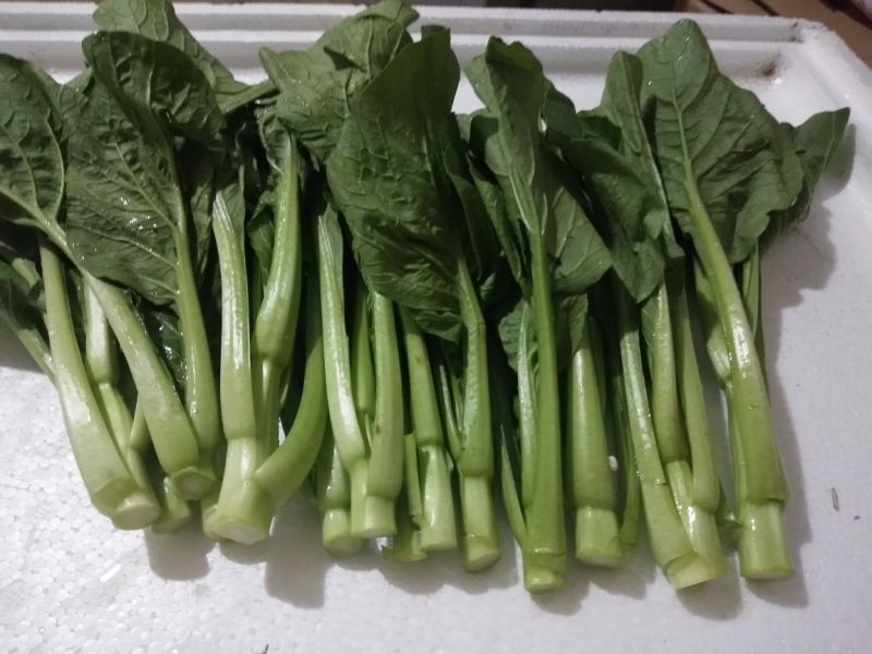 菜苔菜心