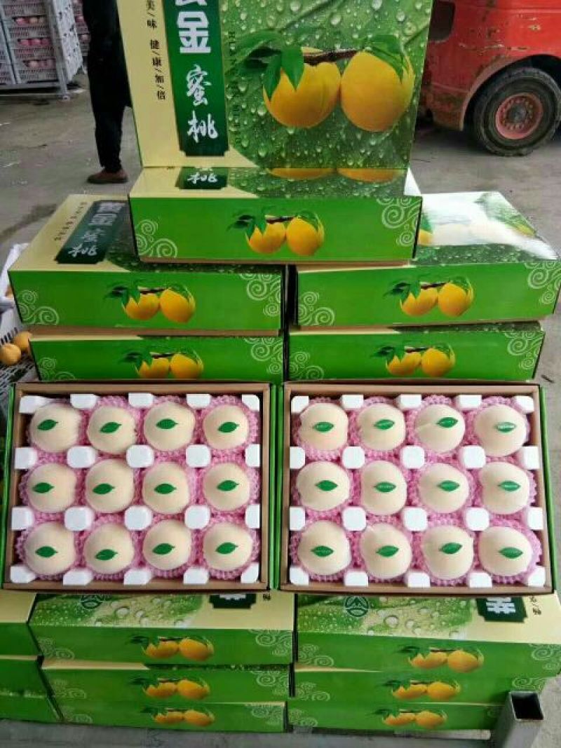 黄锦秀黄毛桃半斤以上，大量上市对接商超市场，电商品质保