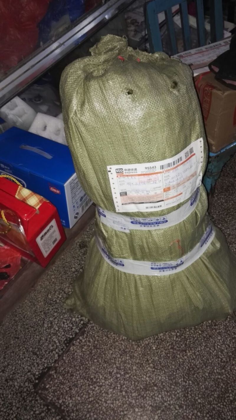 包邮台梅王子安海杨梅苗优质大果早熟提供种植技术