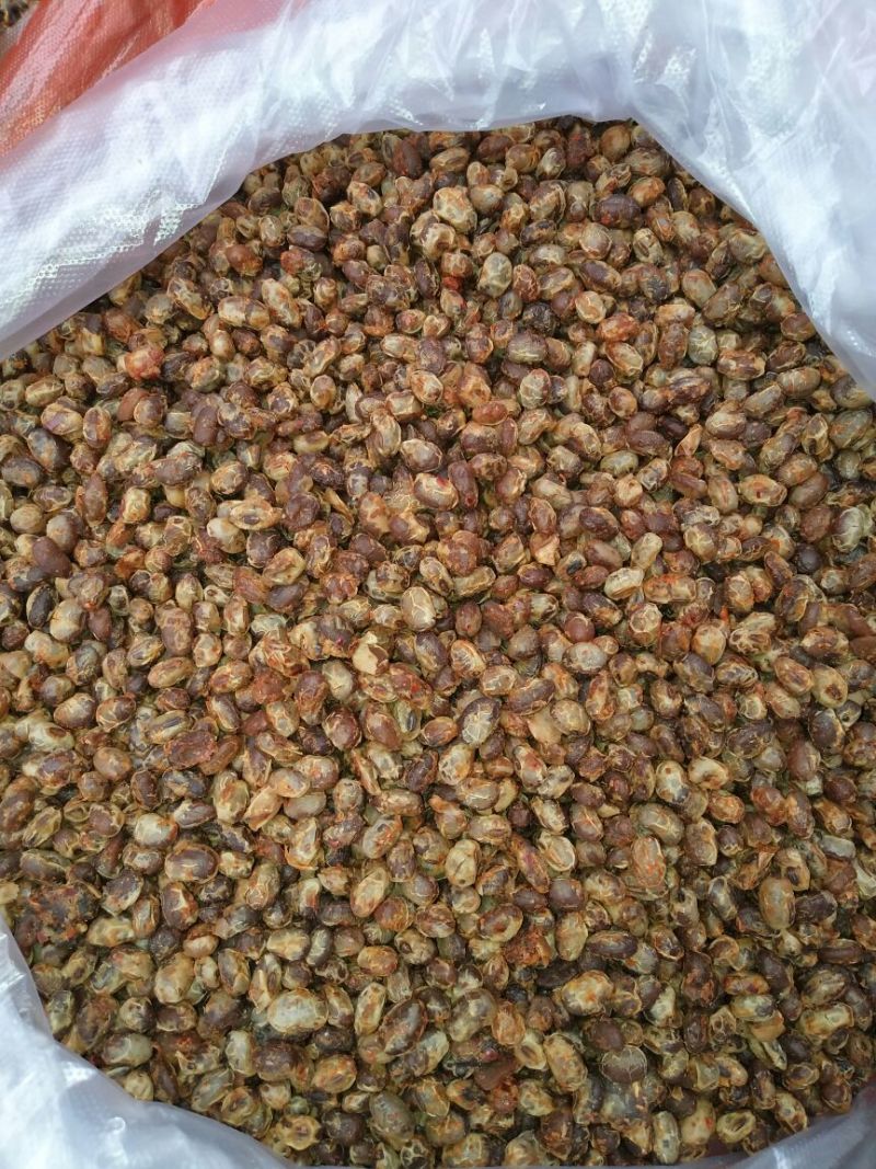 豆豉