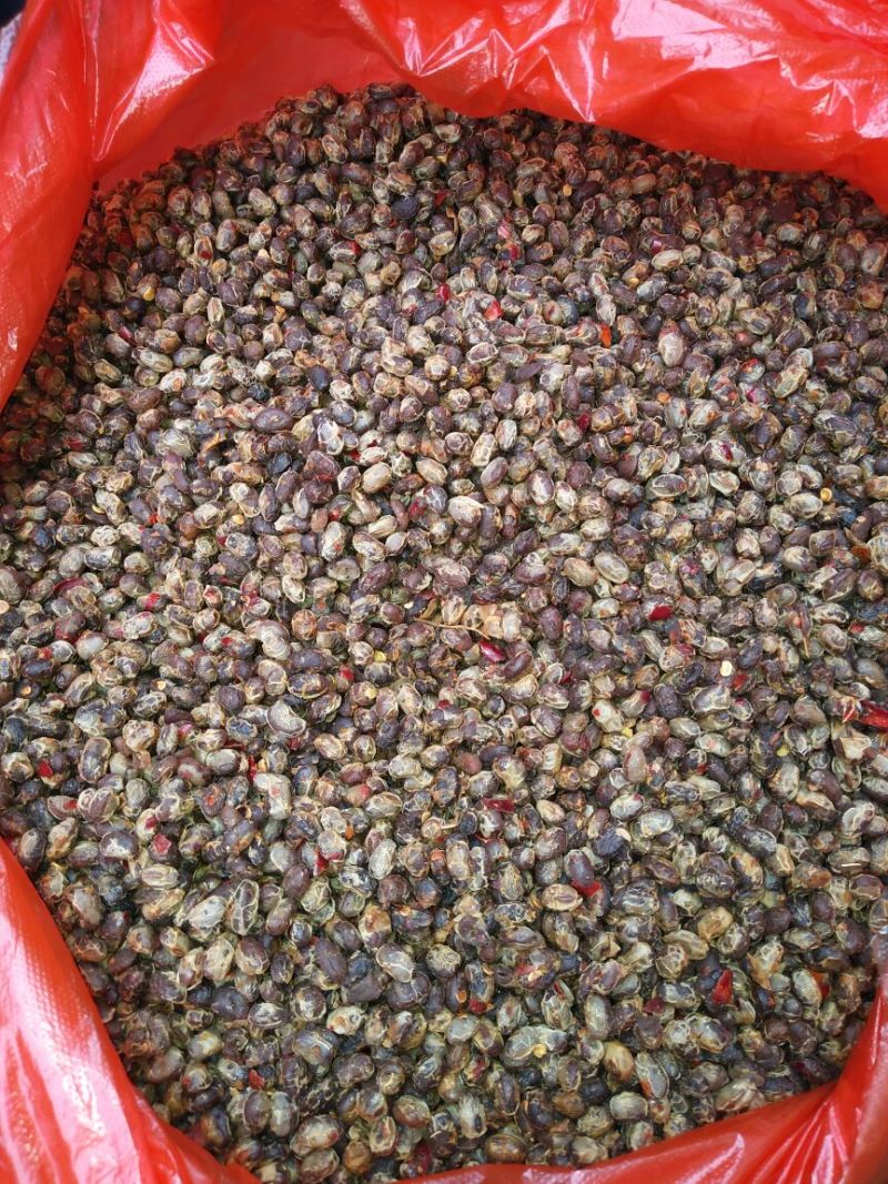 豆豉